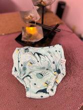 Cargar imagen en el visor de la galería, Organic Cotton Pull-ups