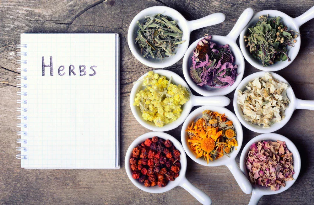 The Ultimate Guide to Herbs for Stress and Anxiety Relief